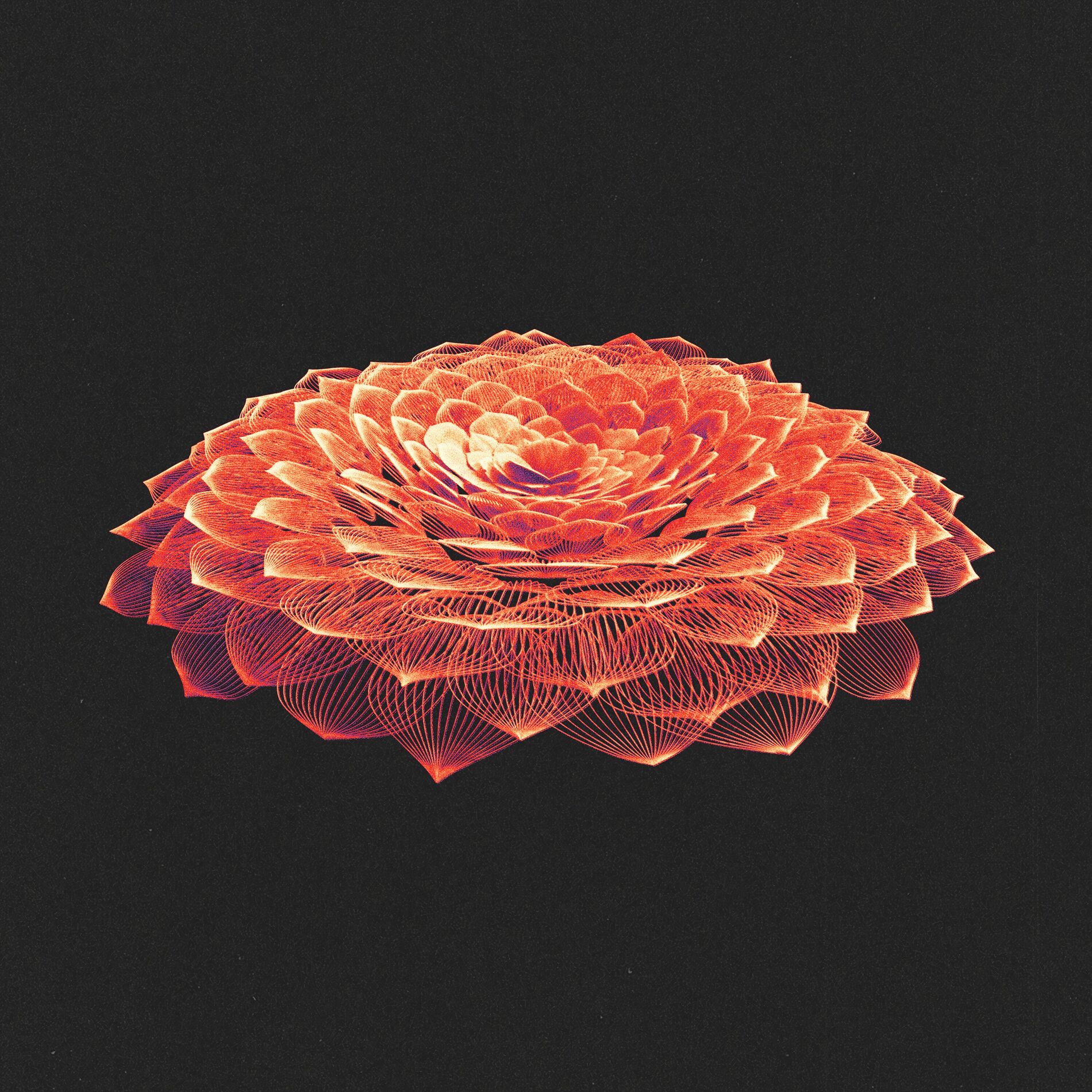 Album cover of Fall Again