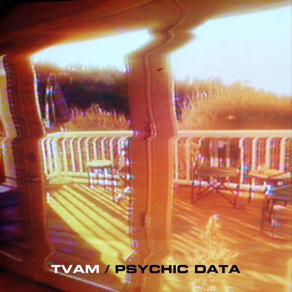 Picture of Psychic Data
