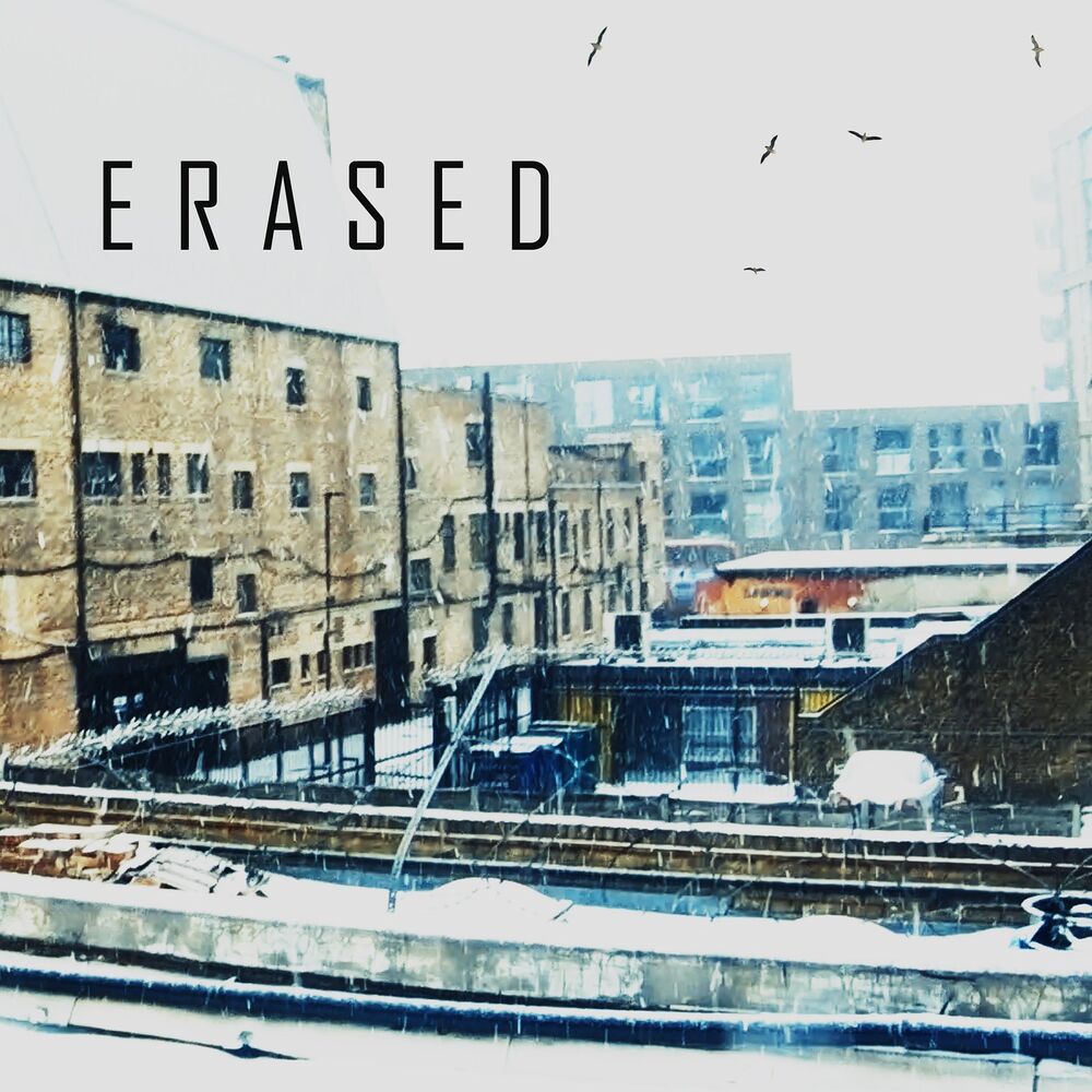 Picture of Erased