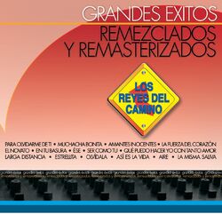Cover of Grandes Éxitos Remezclados Y Masterizados