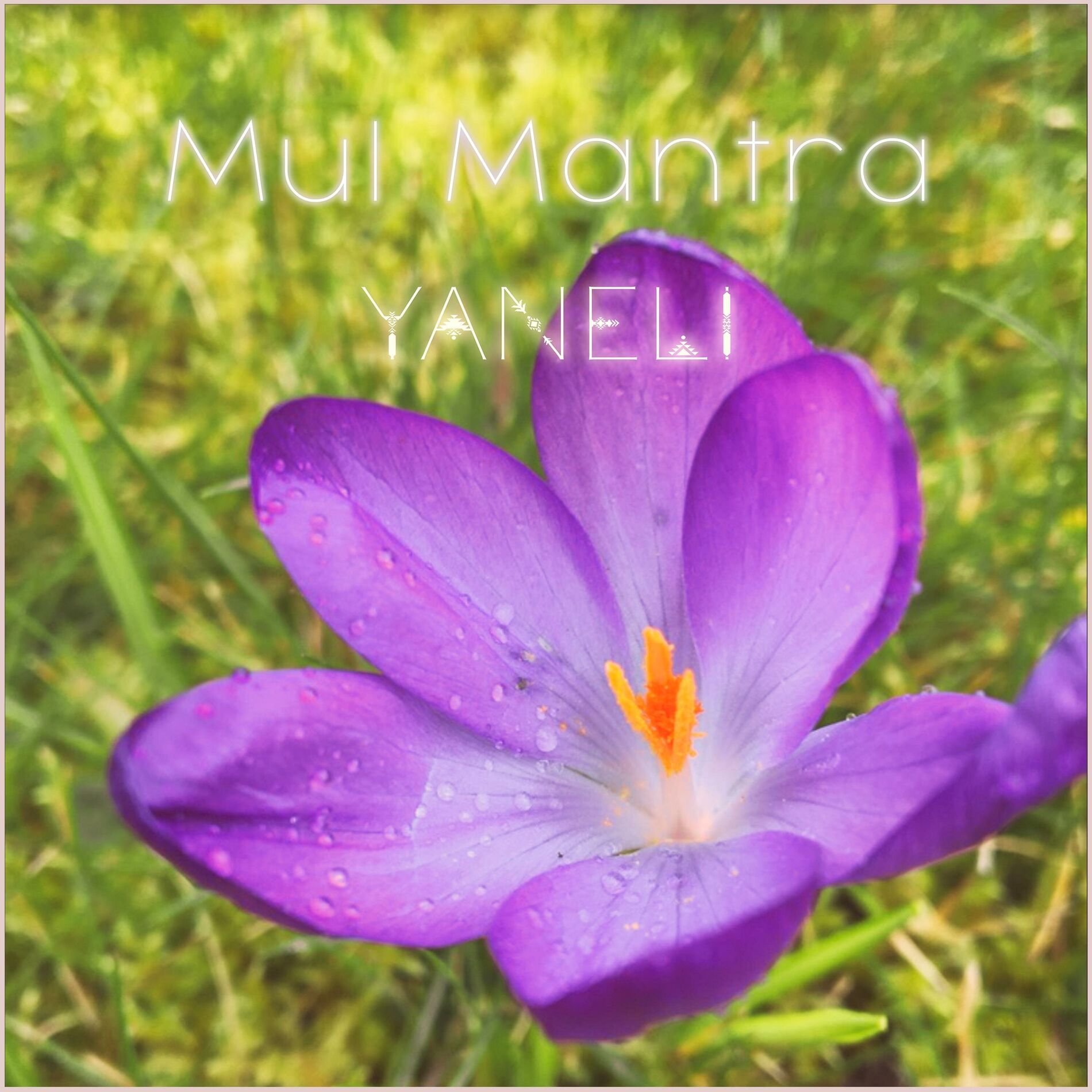Album cover of Mul Mantra
