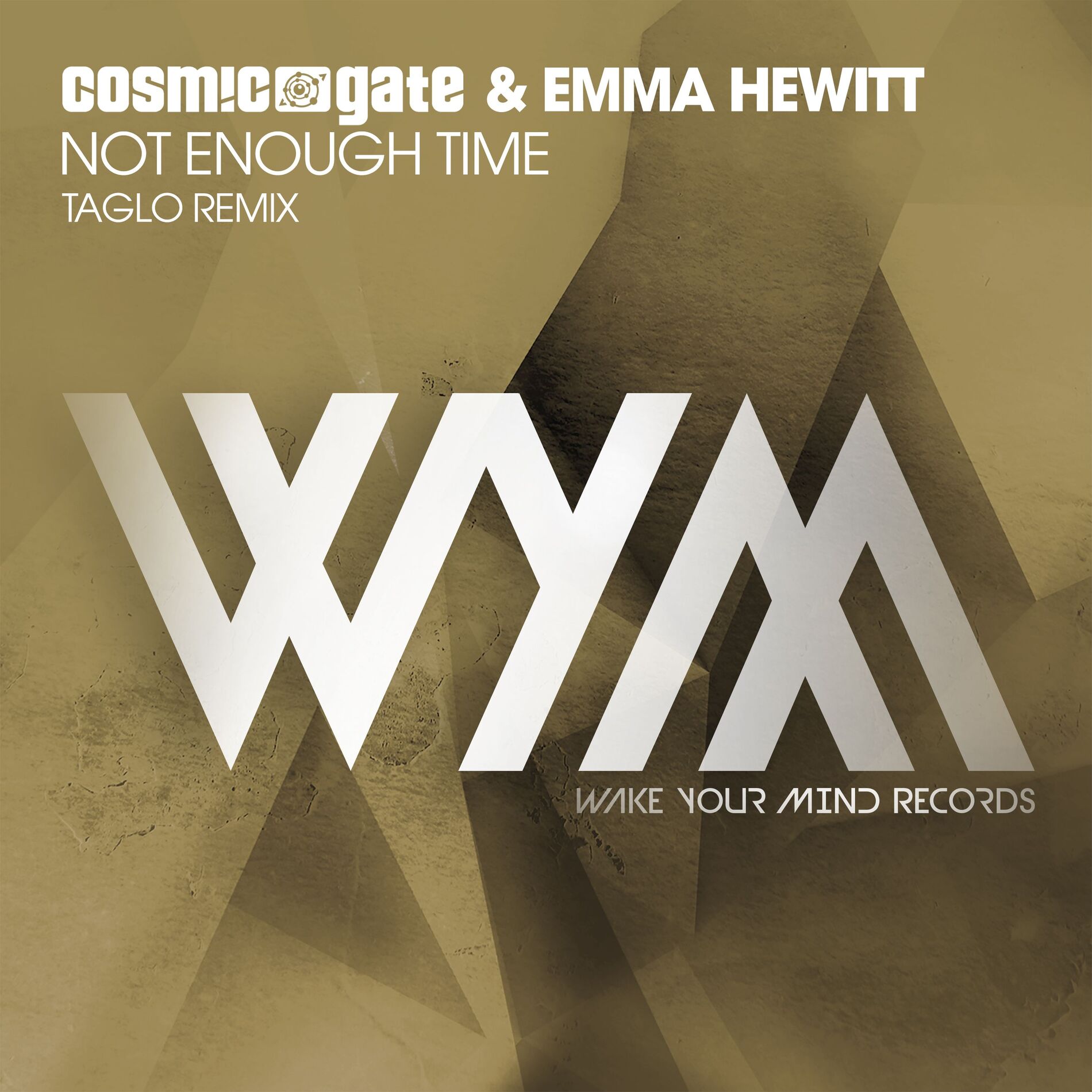Album cover of Not Enough Time (Taglo Remix)
