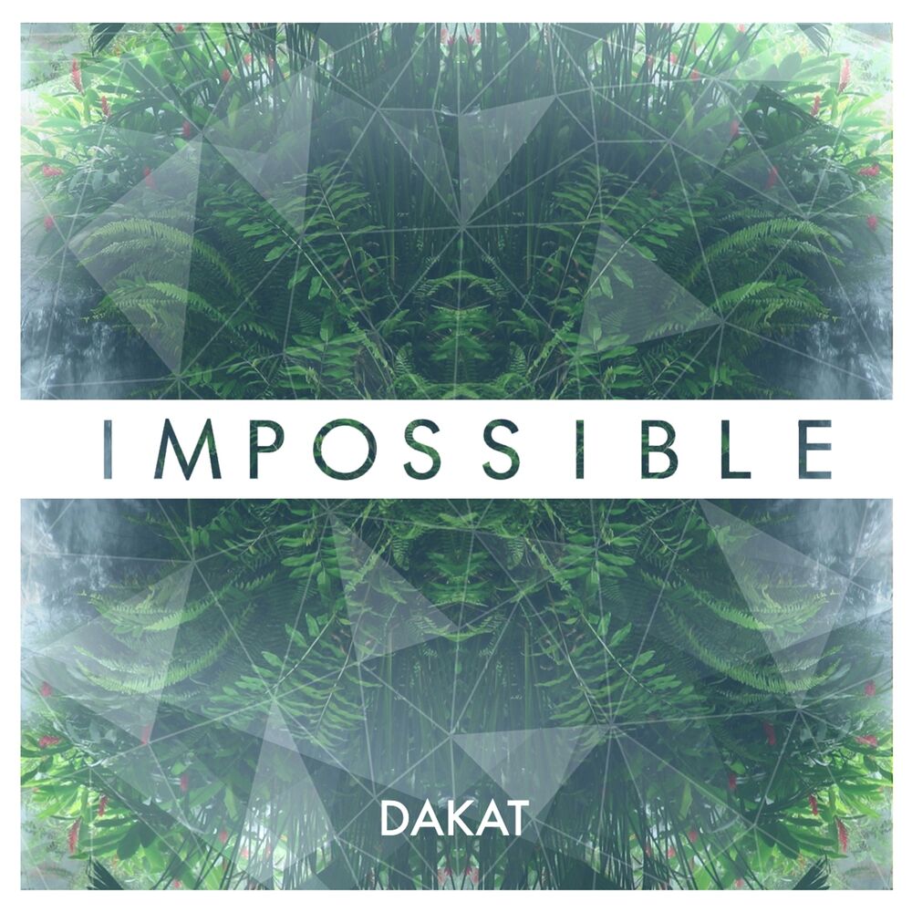 Picture of Impossible