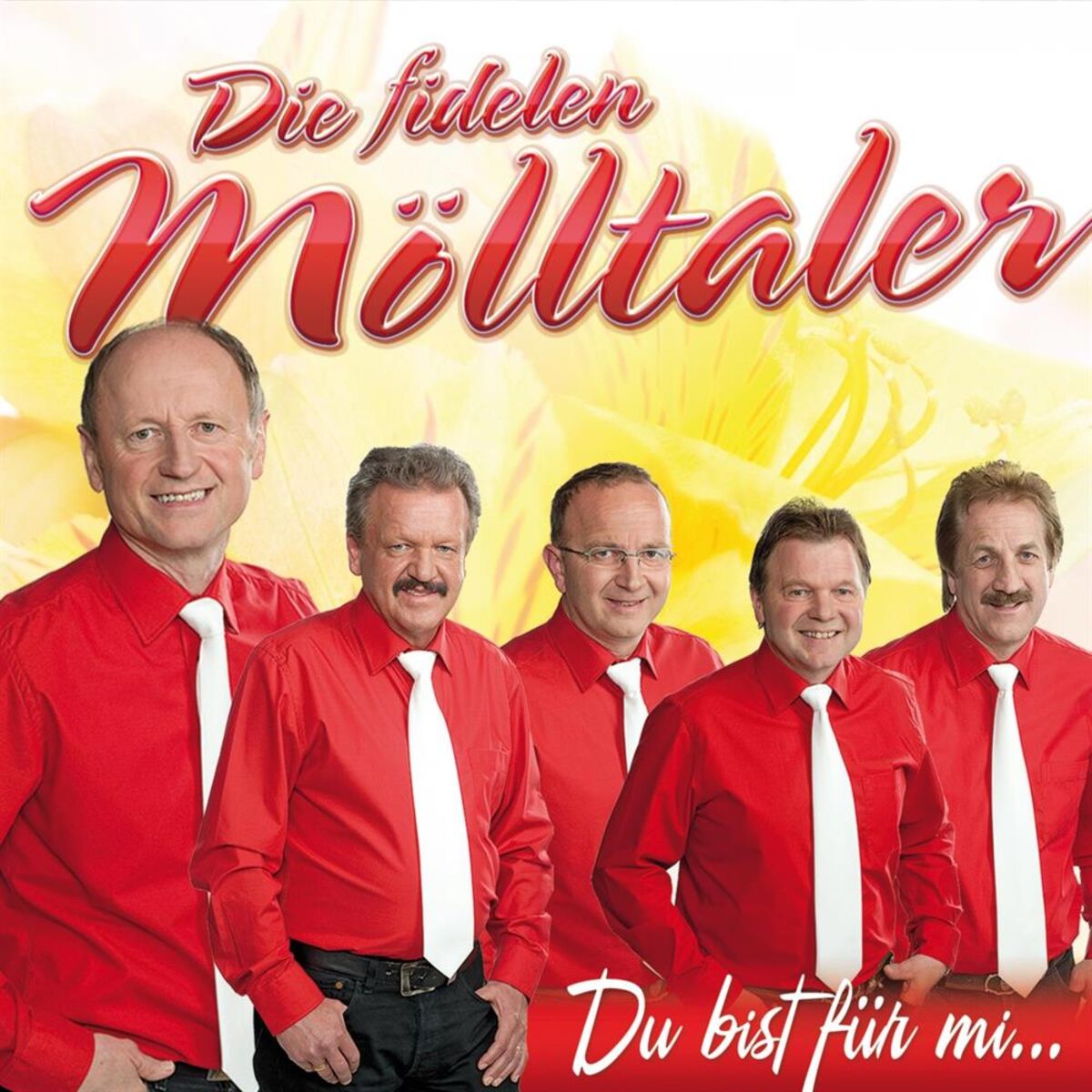 Album cover of Du bist für mi
