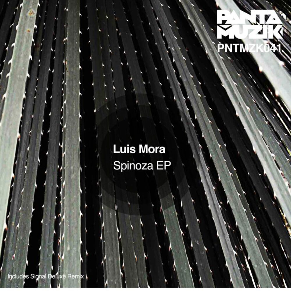 Picture of Spinoza EP