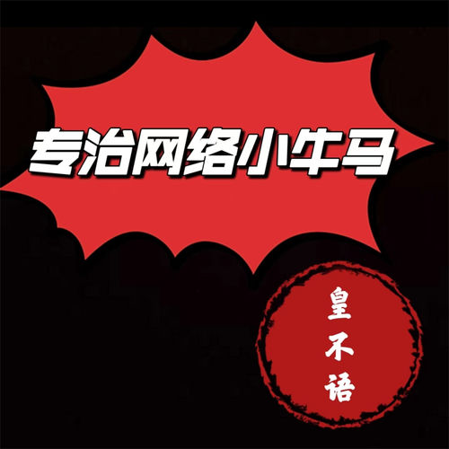 专治网络小牛马