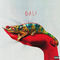 BALI by Rich Brian album cover