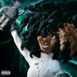 Cover of ADULT SWIM
