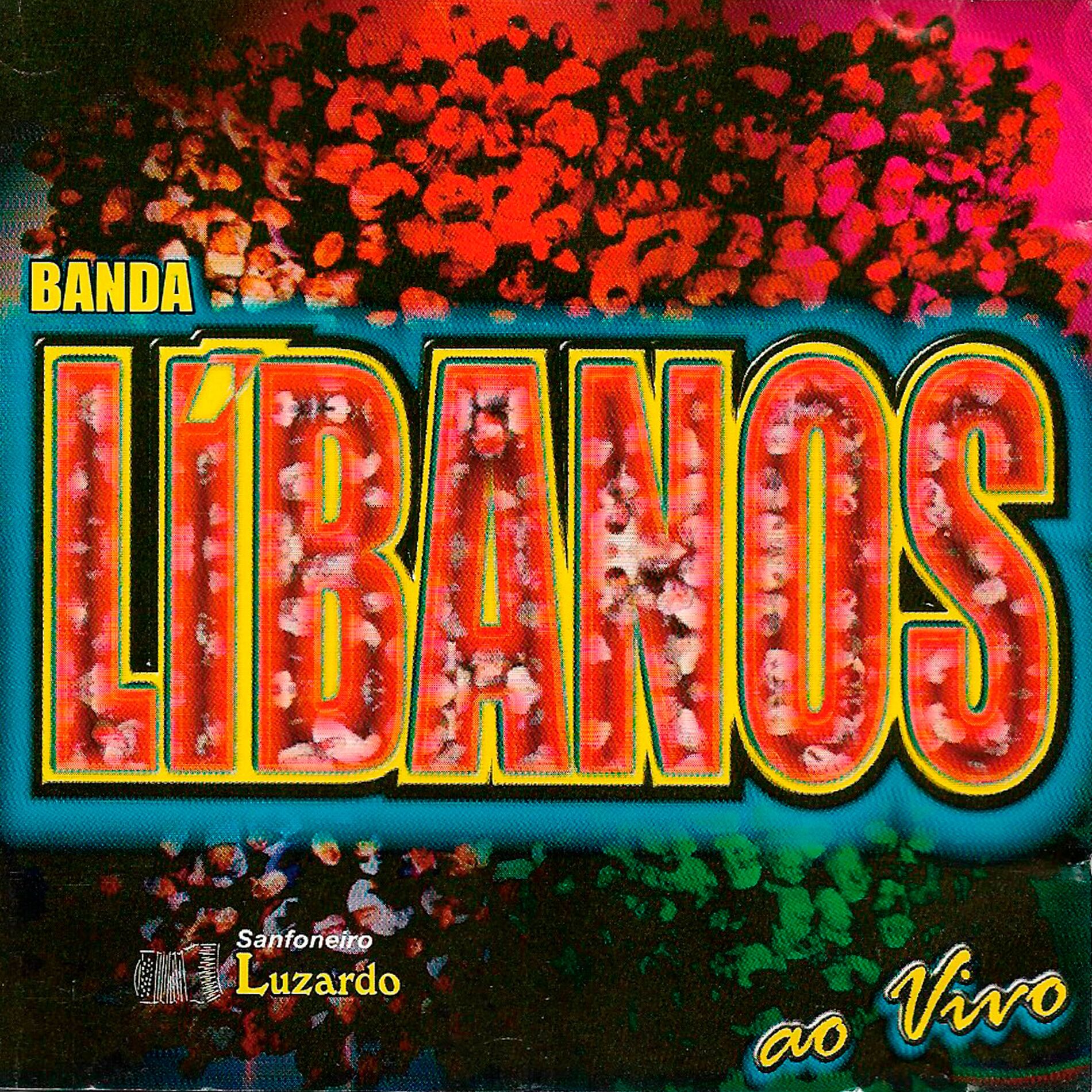 Album cover of Ao Vivo, Vol. 4 (Ao Vivo)