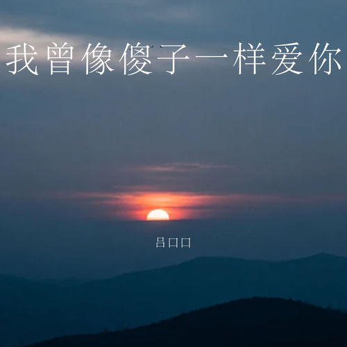 我曾像傻子一样爱你
