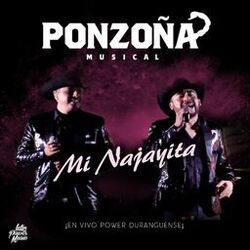 Cover of Mi Najayita (En Vivo)