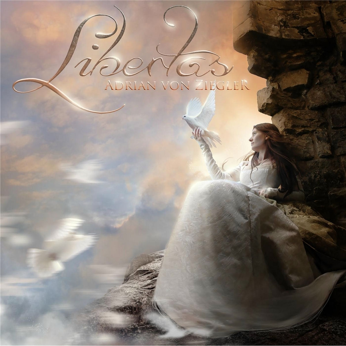 Album cover of Libertas
