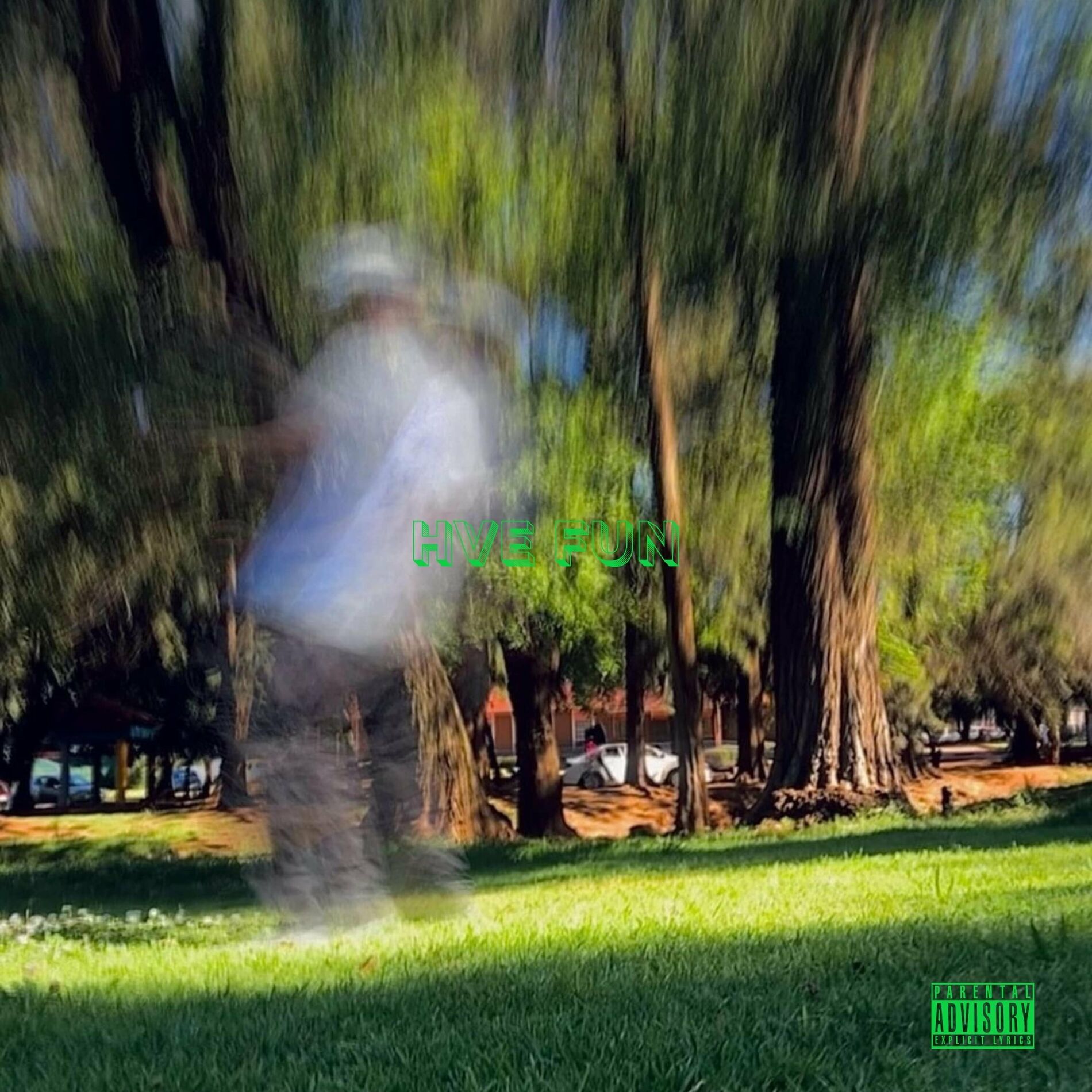 Album cover of Hve Fun