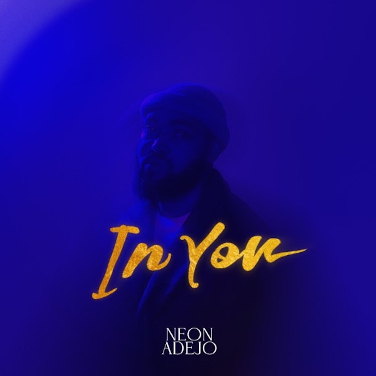 Album cover of In You