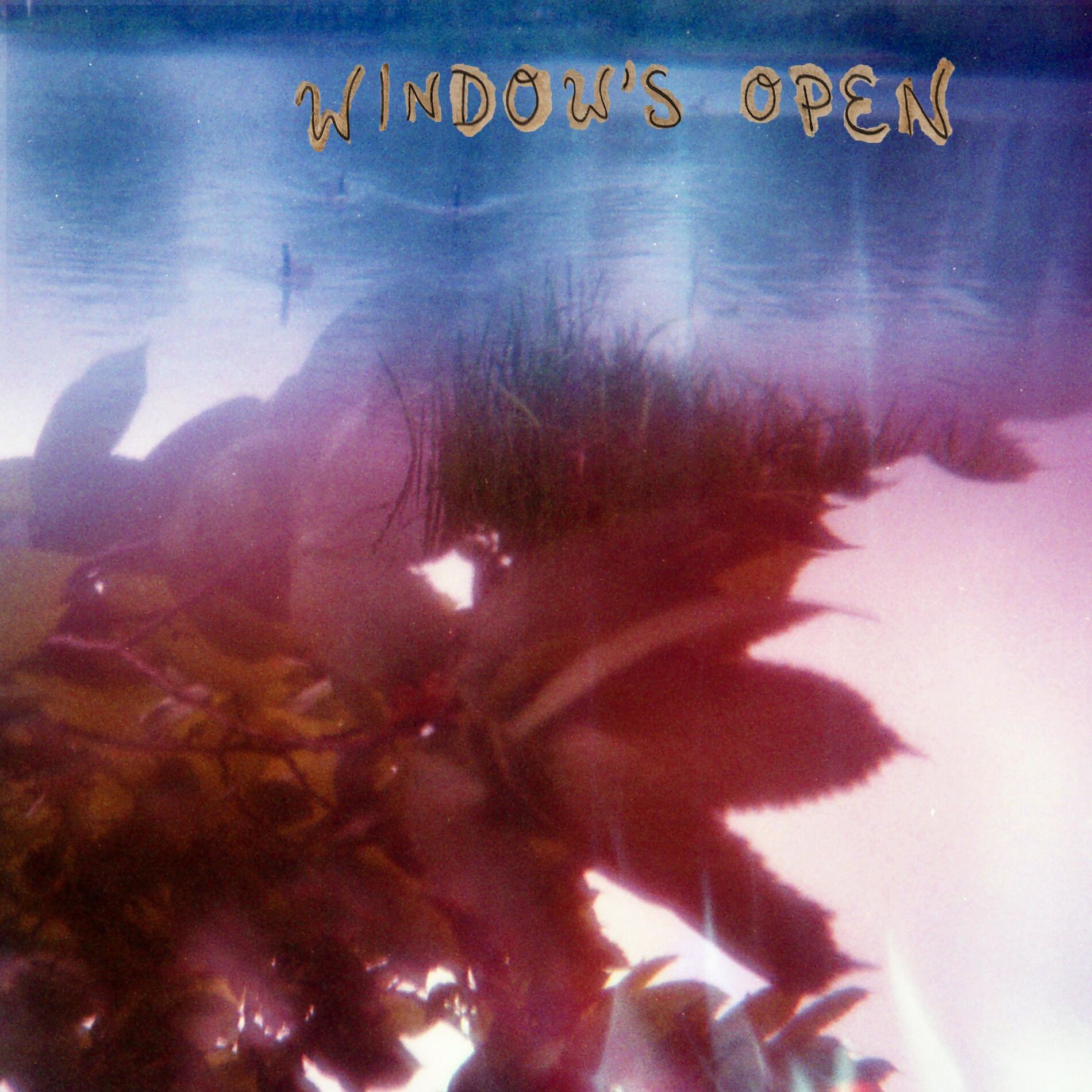 Album cover of Window's Open