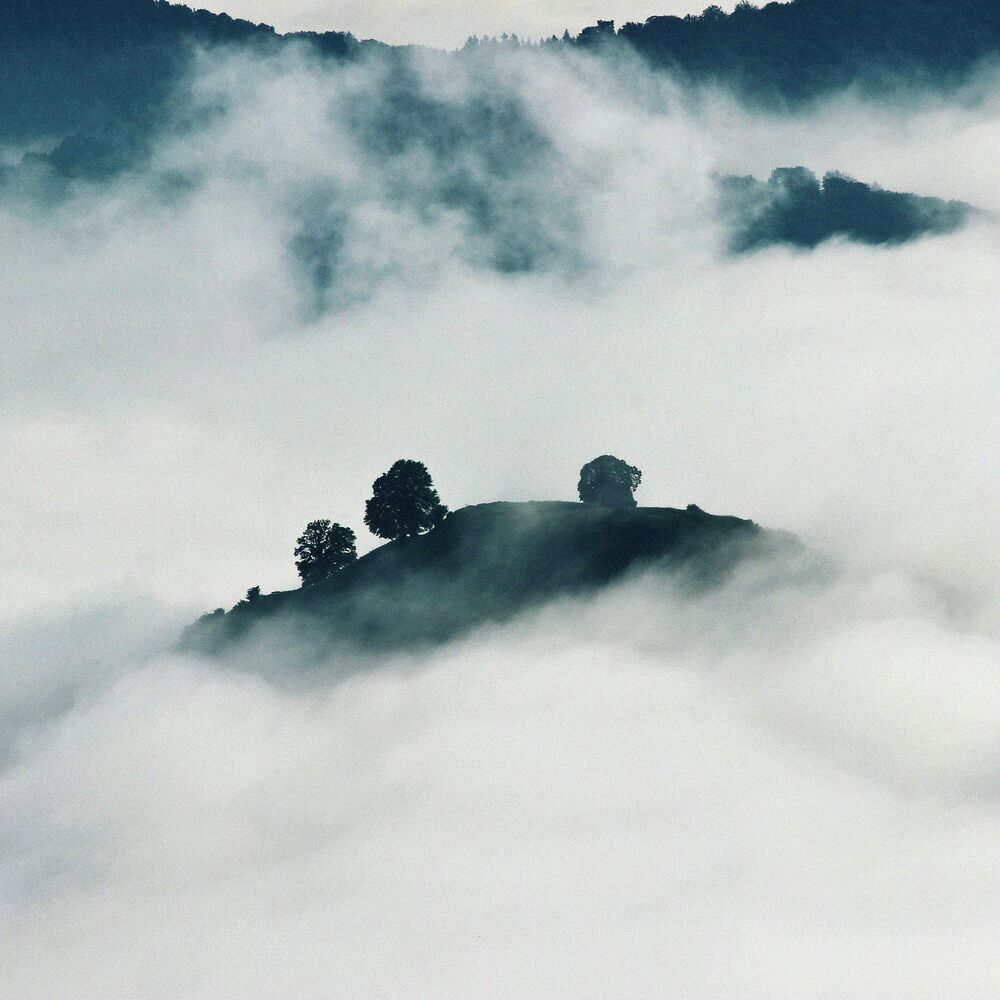 Picture of Through the Hills
