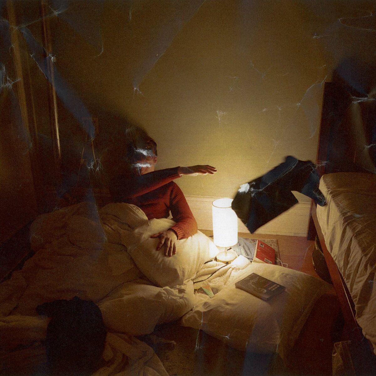 Album cover of rotted out with flies
