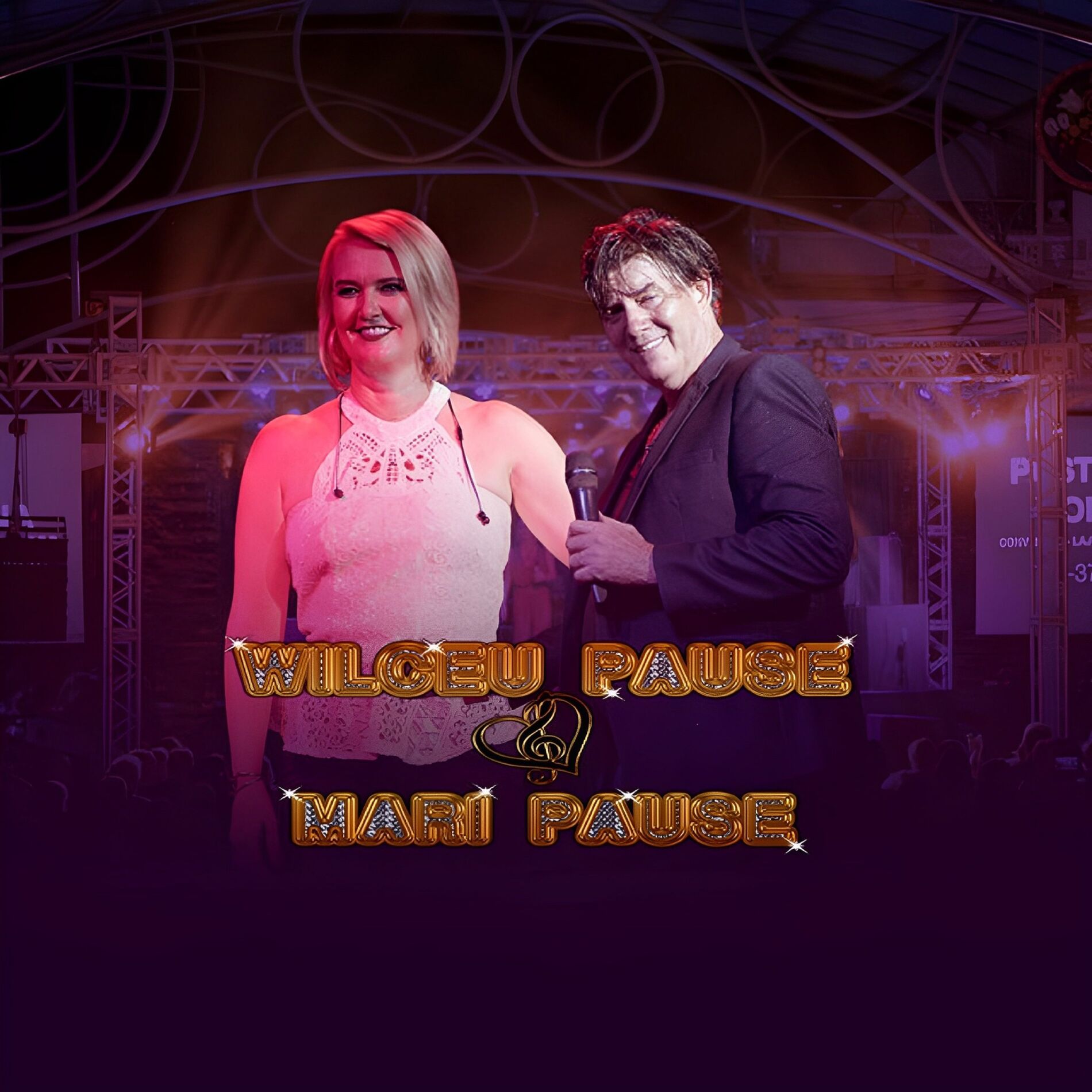 Album cover of O casal Ideal