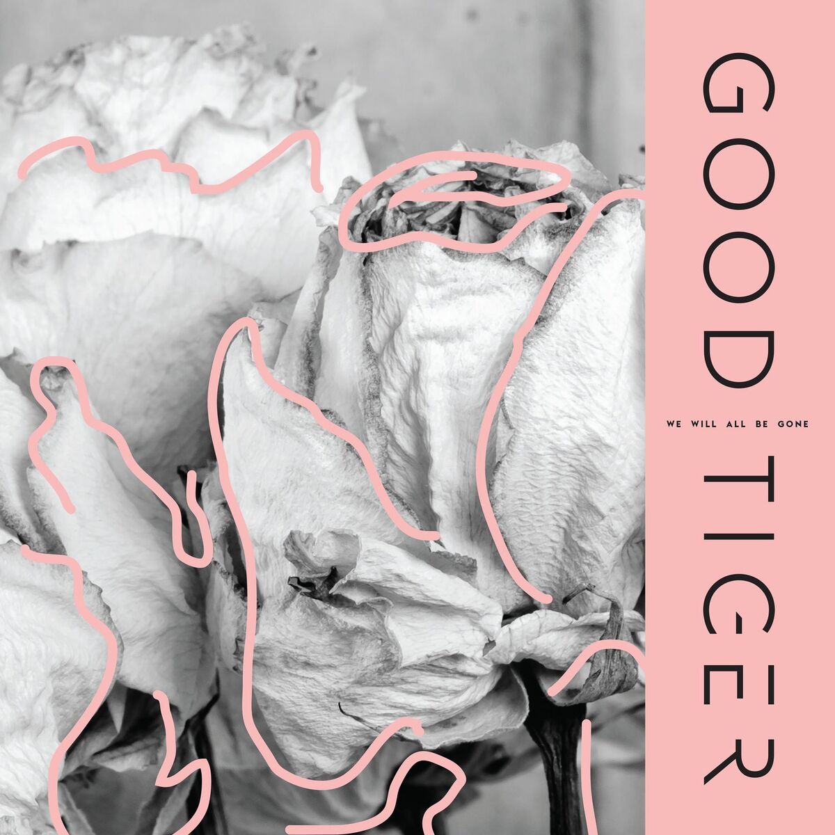 Album cover of Nineteen Grams