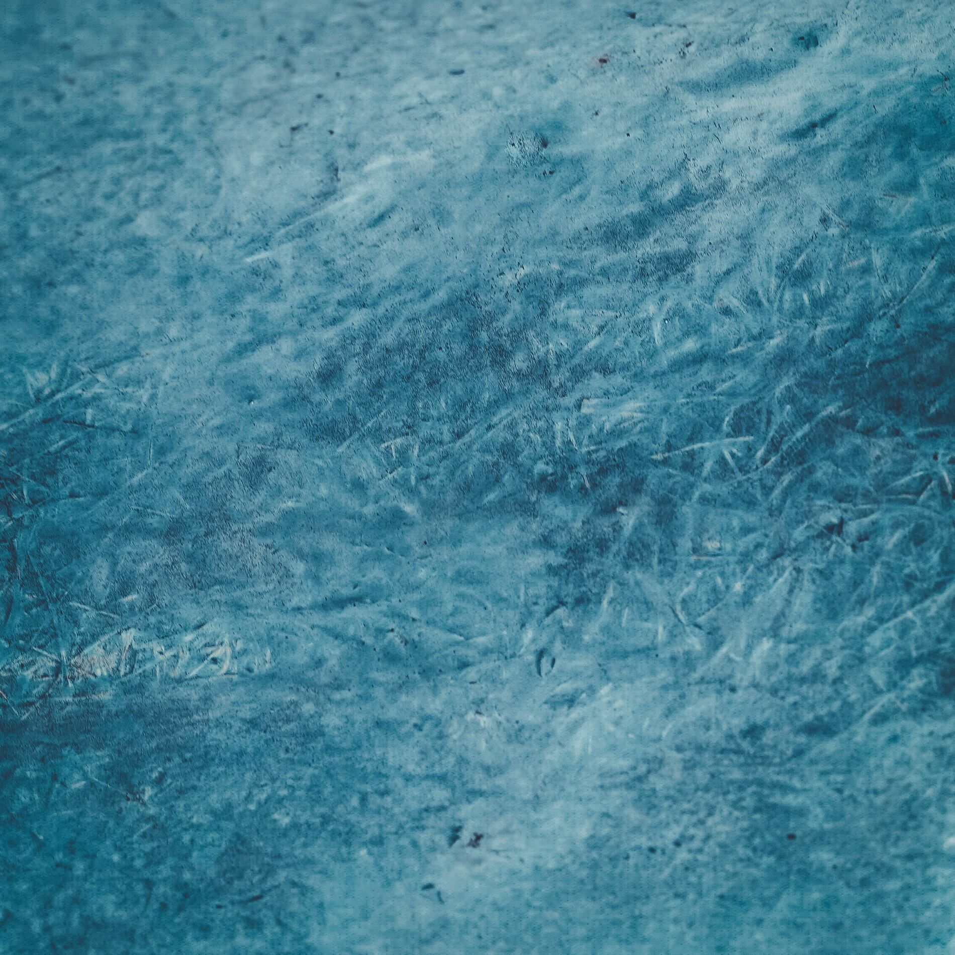Album cover of Into the blue