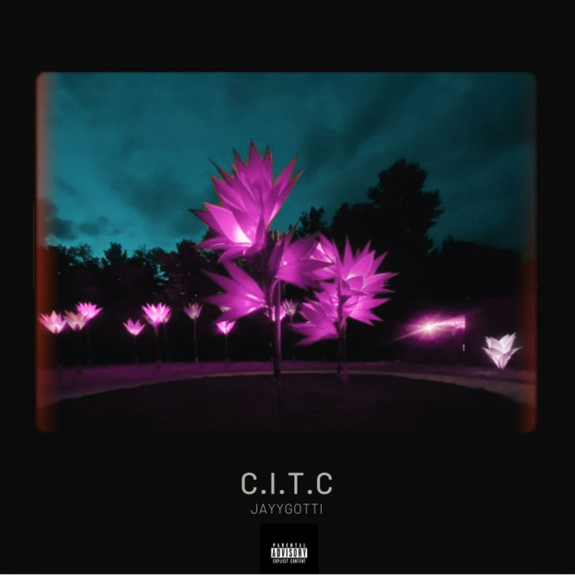 Album cover of C.I.T.C