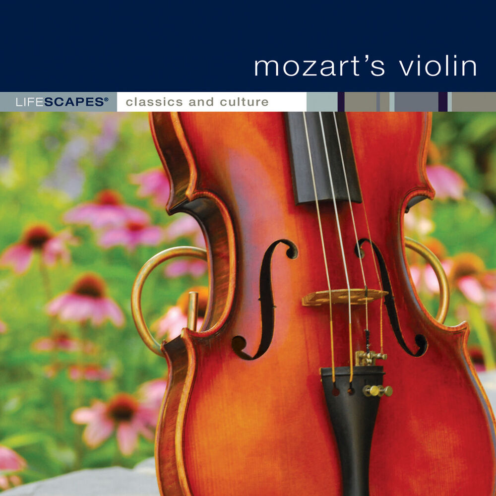 Picture of Mozart's Violin