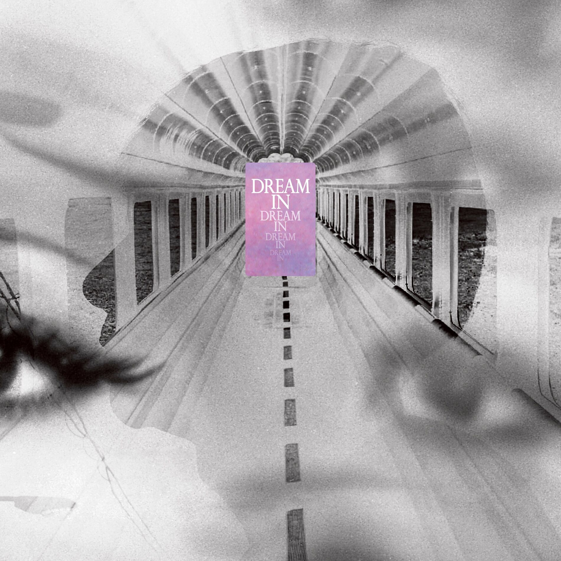 Album cover of Dream in the Mist