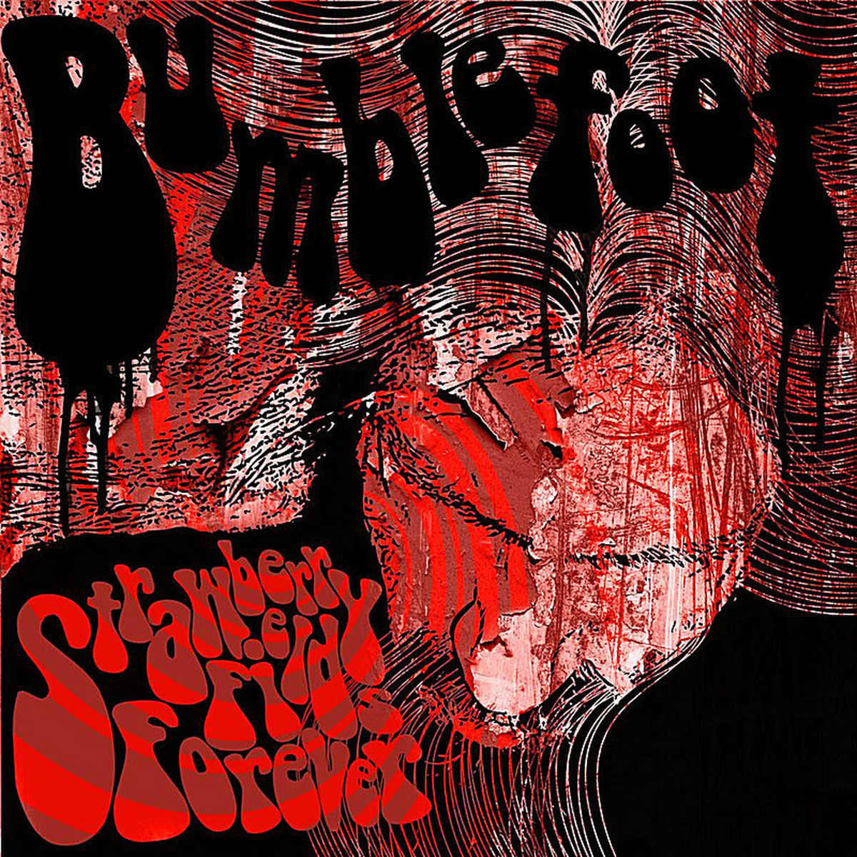 Album cover of Strawberry Fields Forever