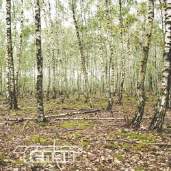 Cover of Herne-Mitte