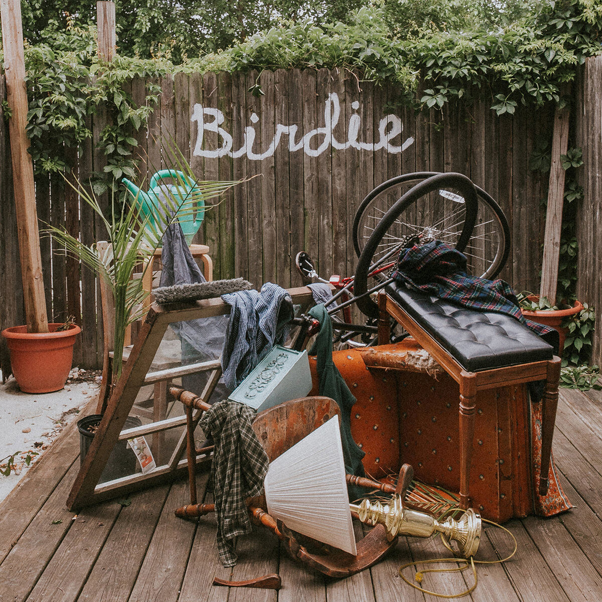 Album cover of Birdie