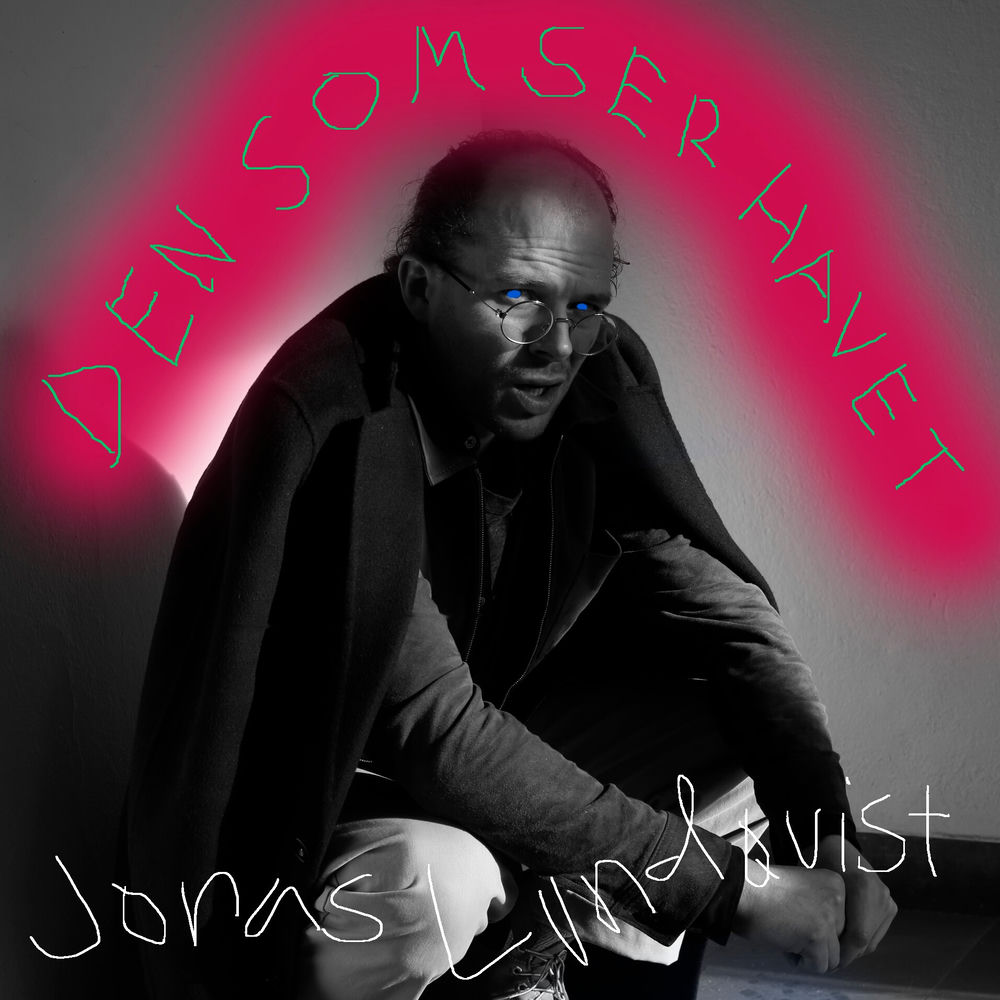 Den Som Ser Havet cover