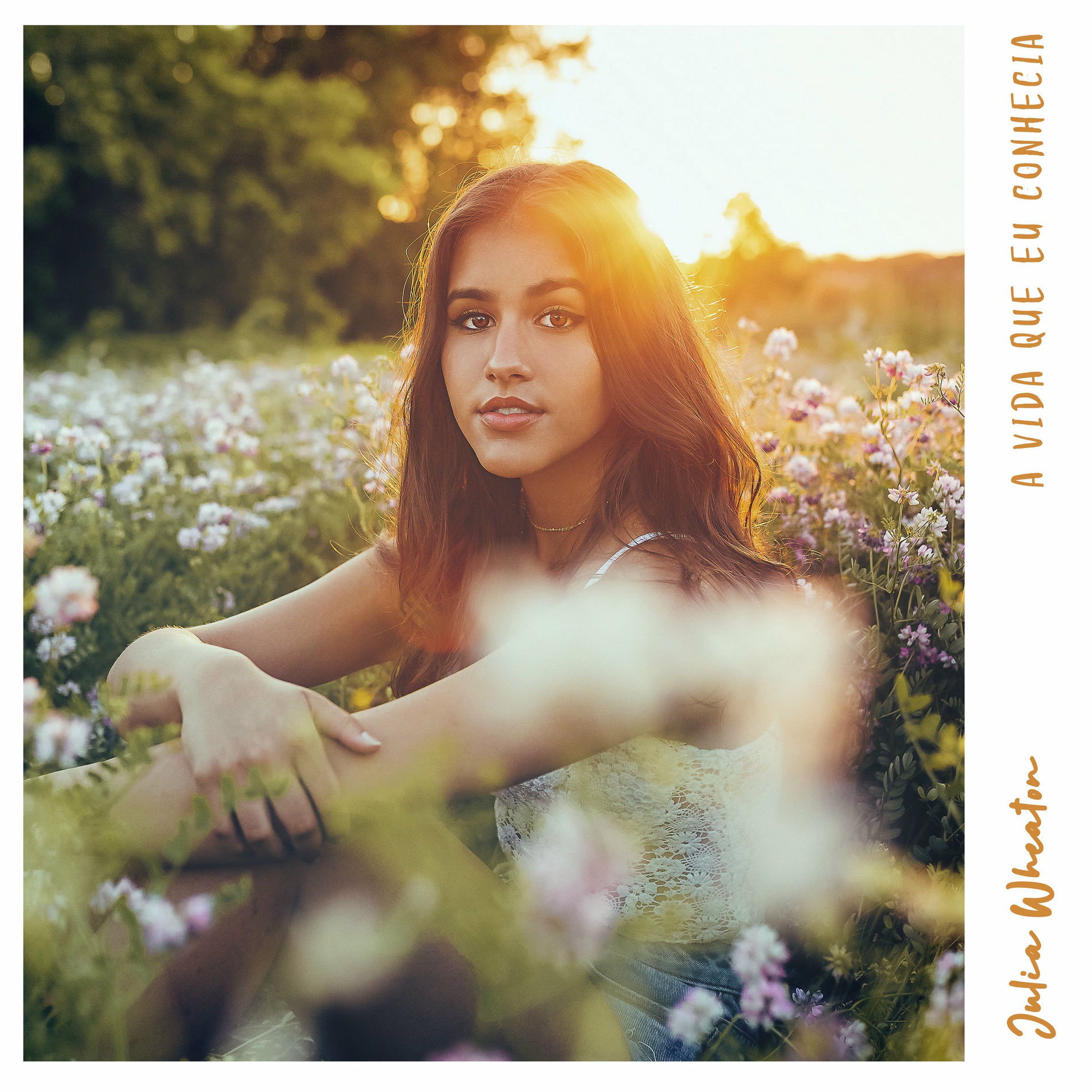 Album cover of A Vida Que Eu Conhecia