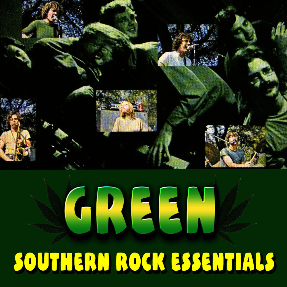 Picture of Southern Rock Essentials