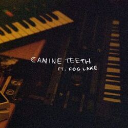 music cover