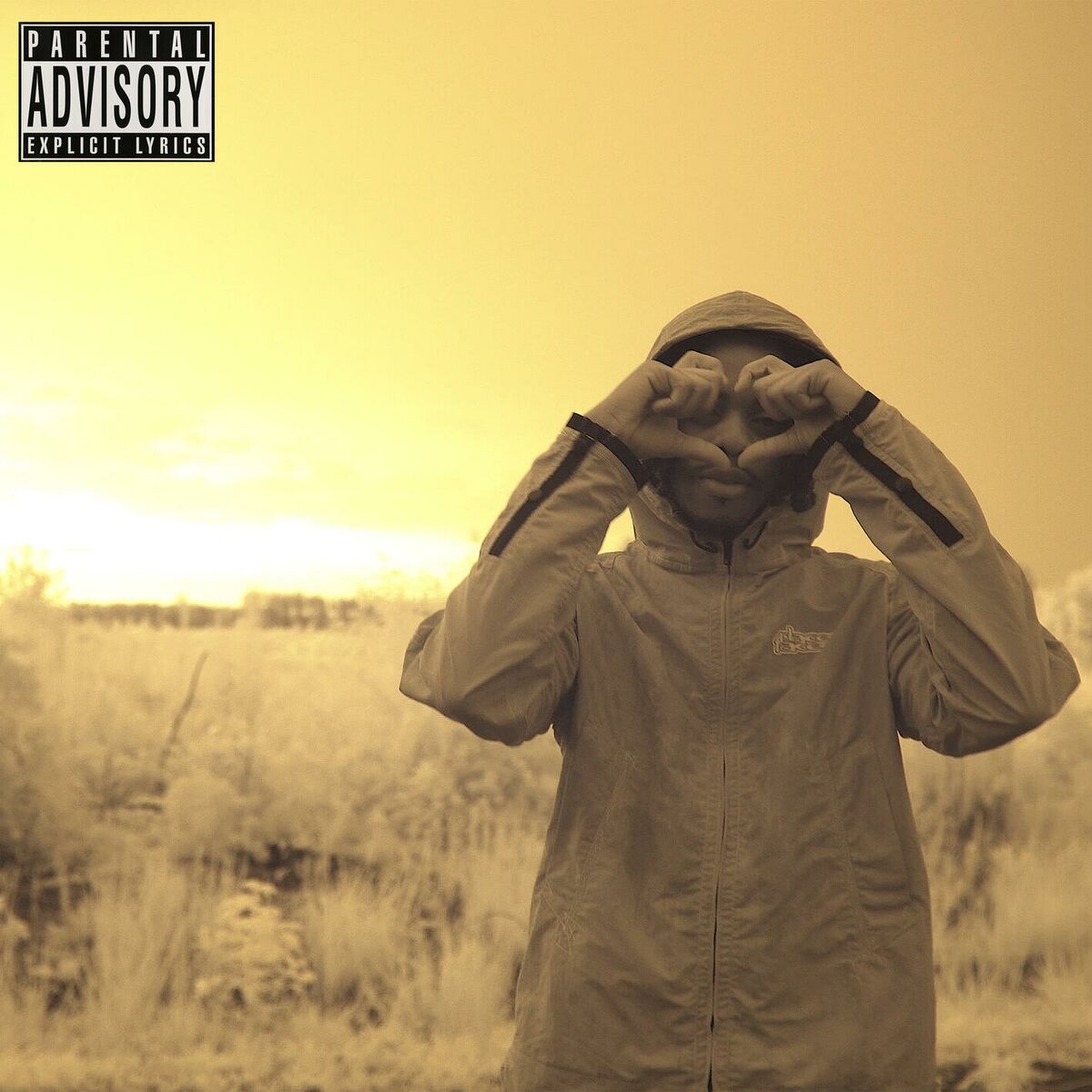 Album cover of luvu2