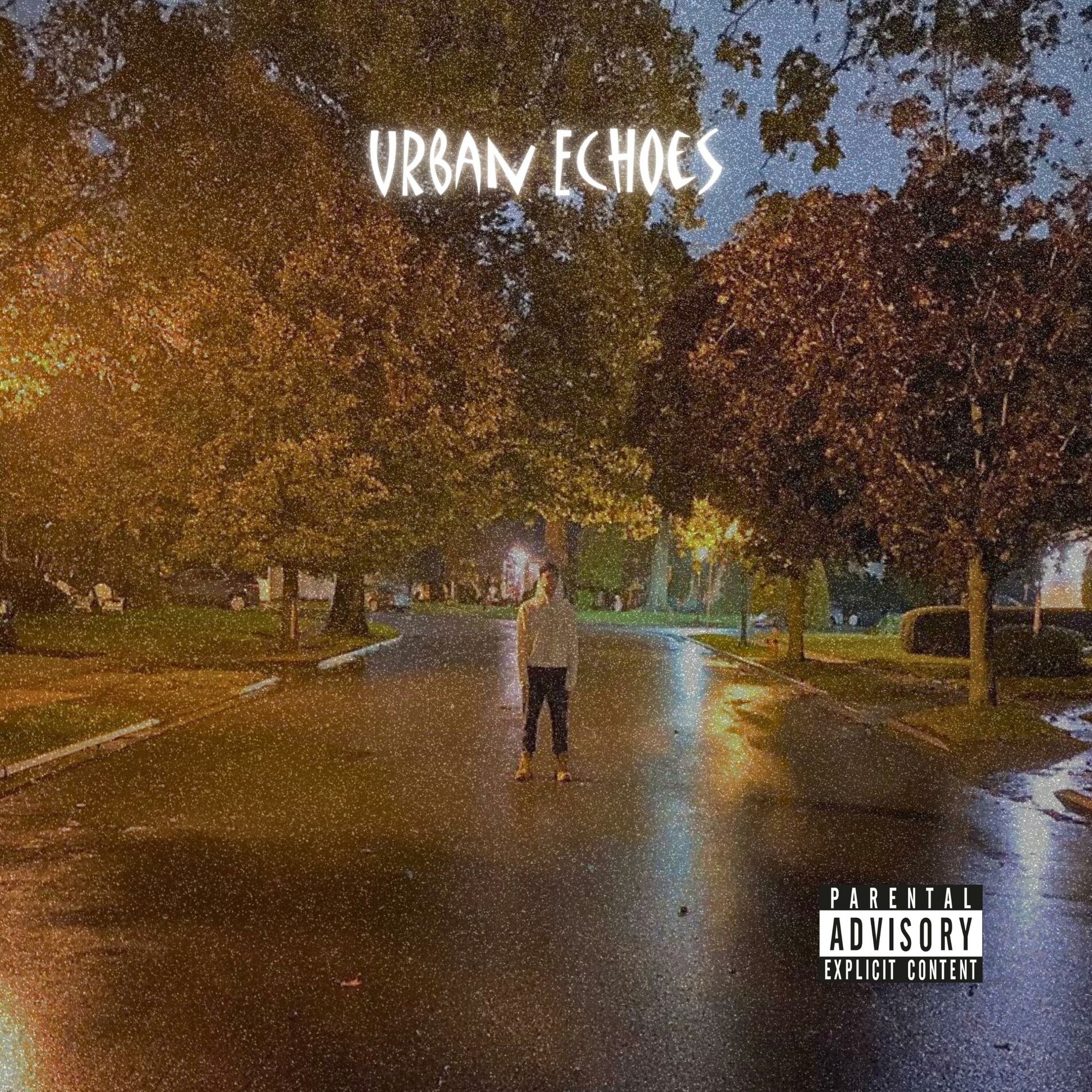 Album cover of Urban Echoes