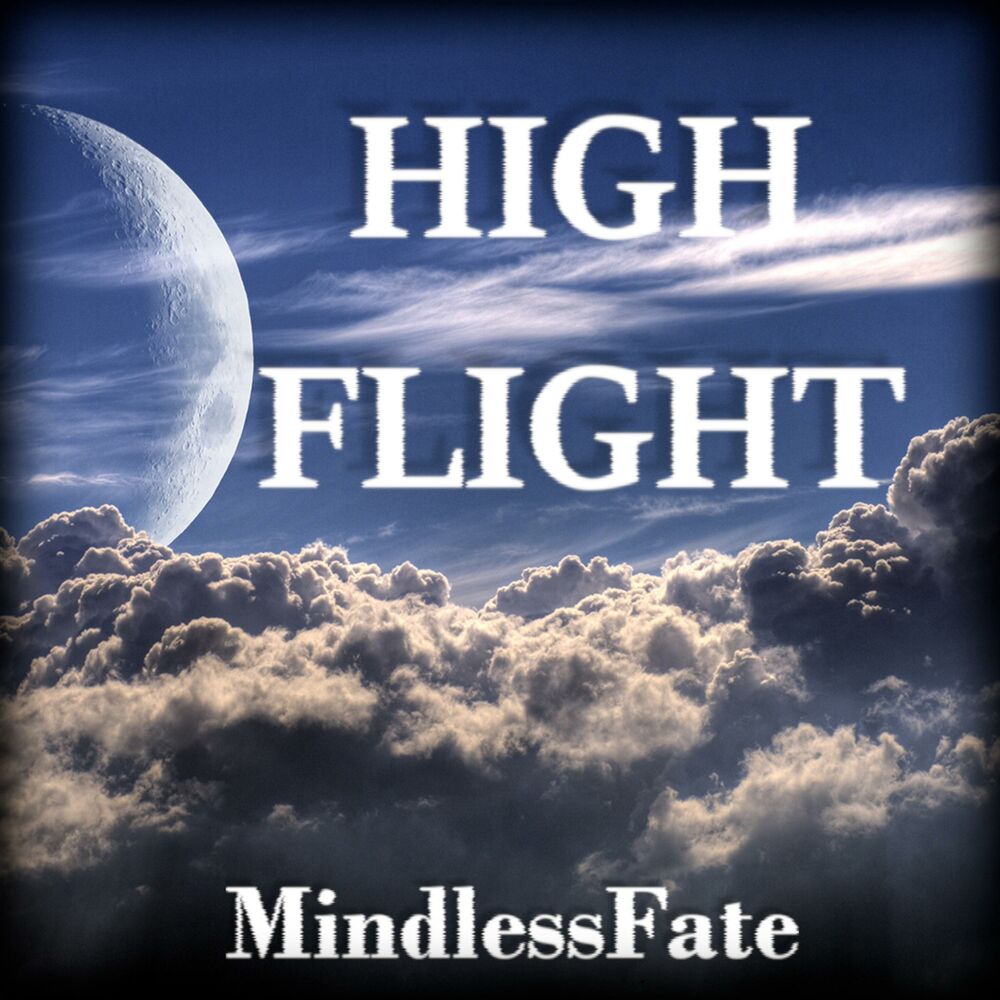 Picture of High Flight