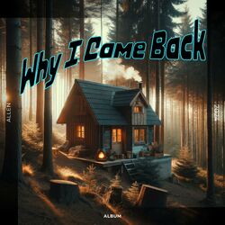 Cover of Why I Came Back