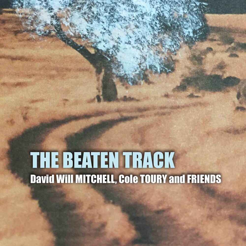 Picture of The Beaten Track