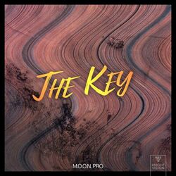 Cover of The Key