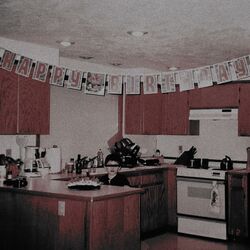 Cover of twenty-year hole