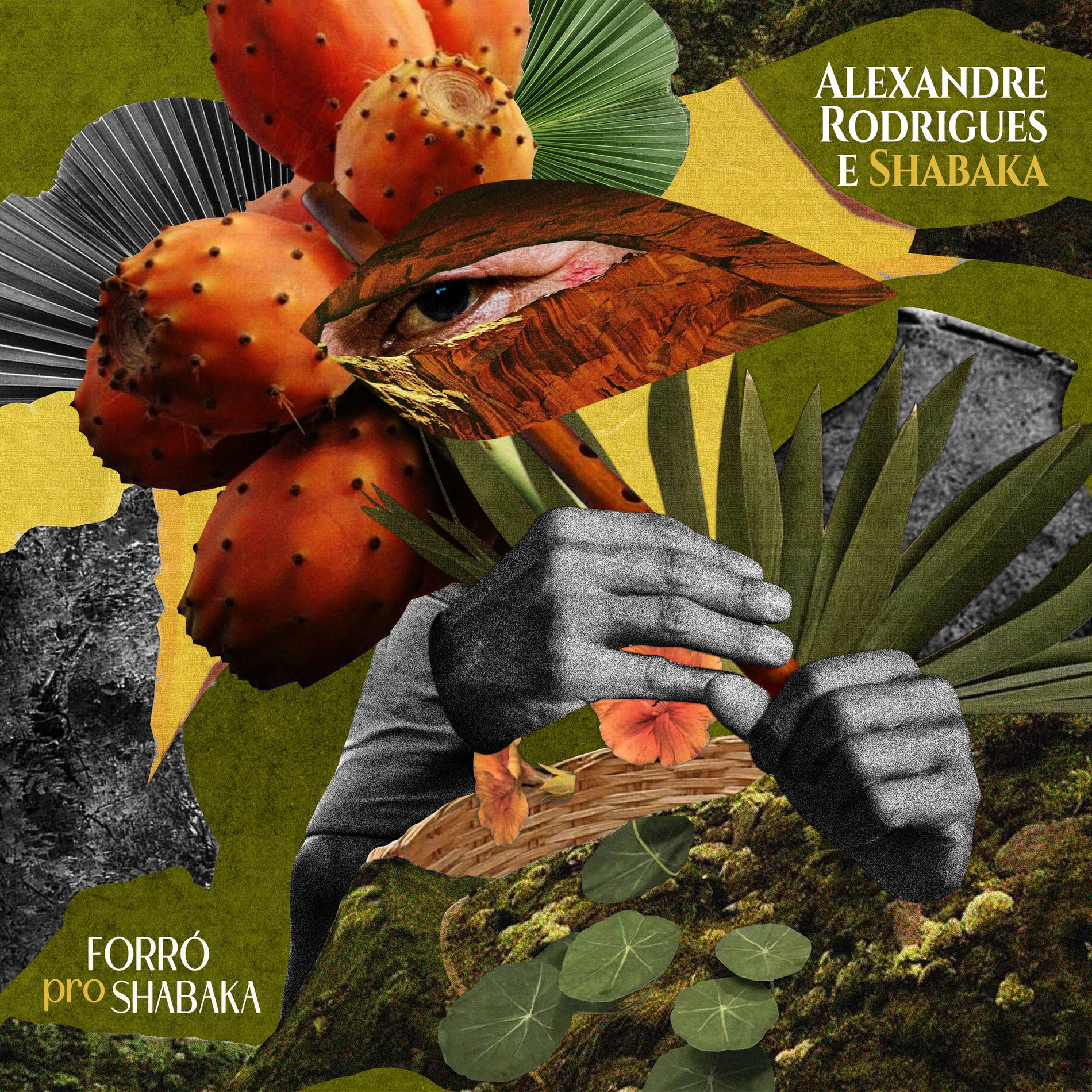Album cover of Forró pro Shabaka