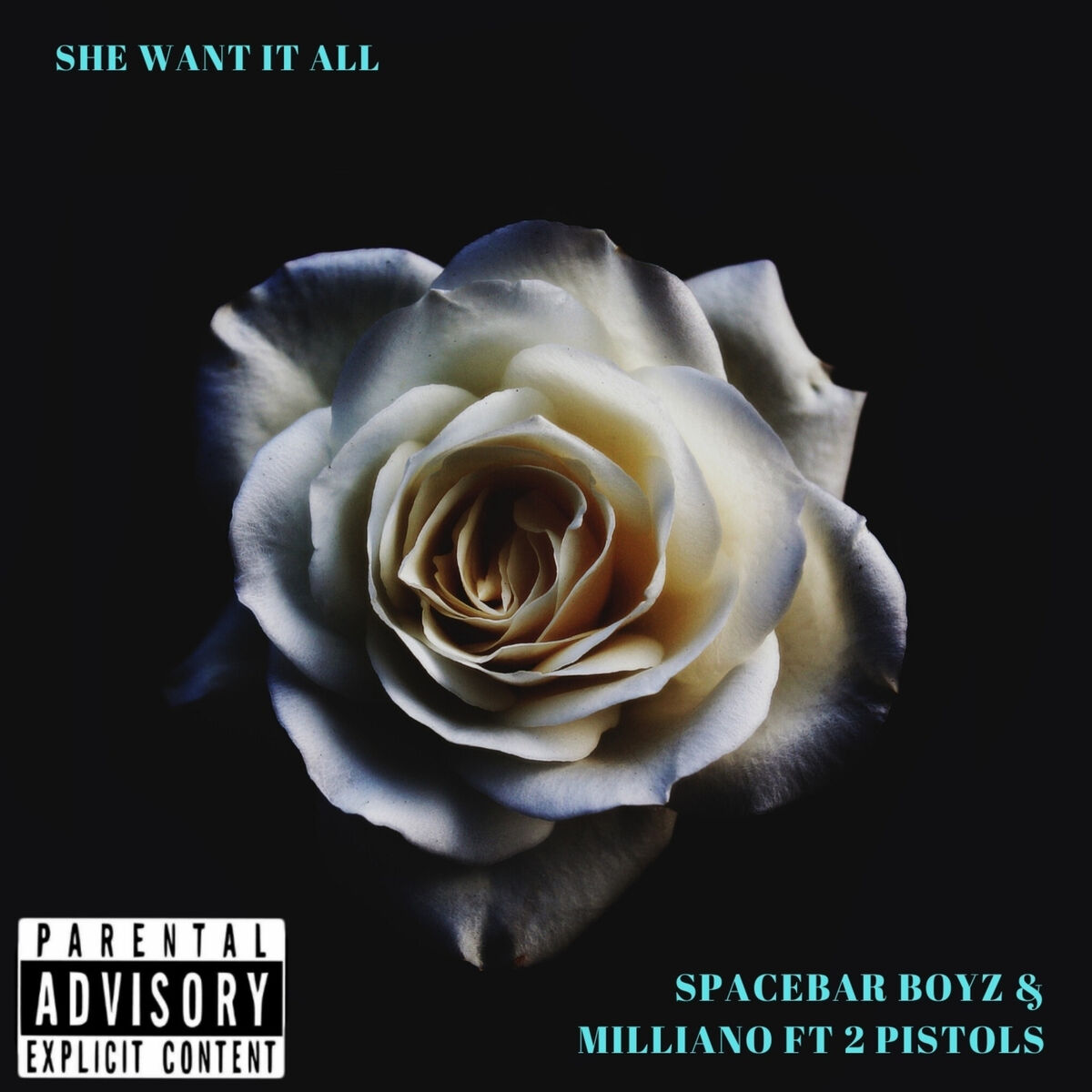 Album cover of She Want It All