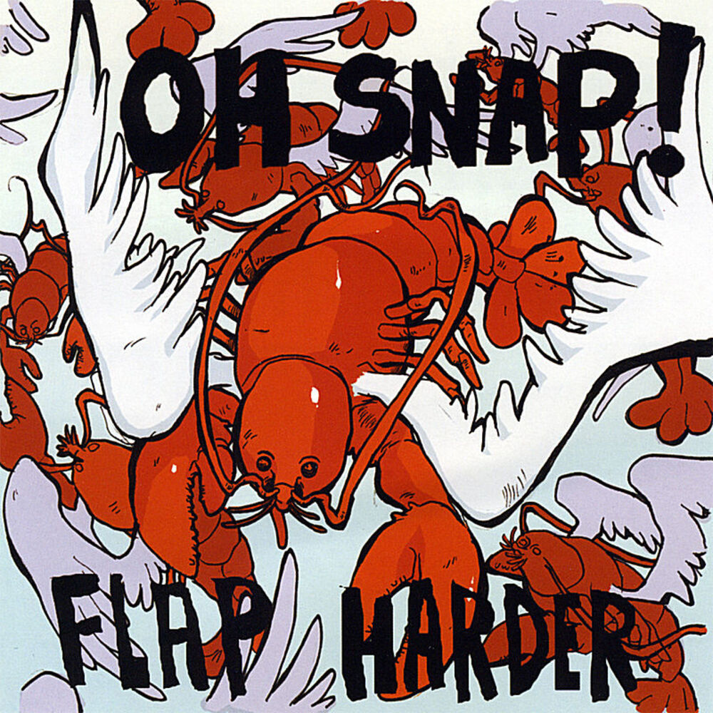 Picture of Flap Harder