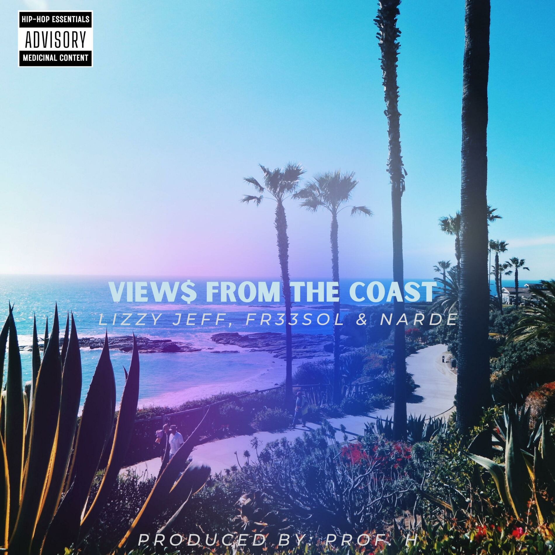 Album cover of VIEW$ FROM THE COAST (feat. FR33SOL & Narde)