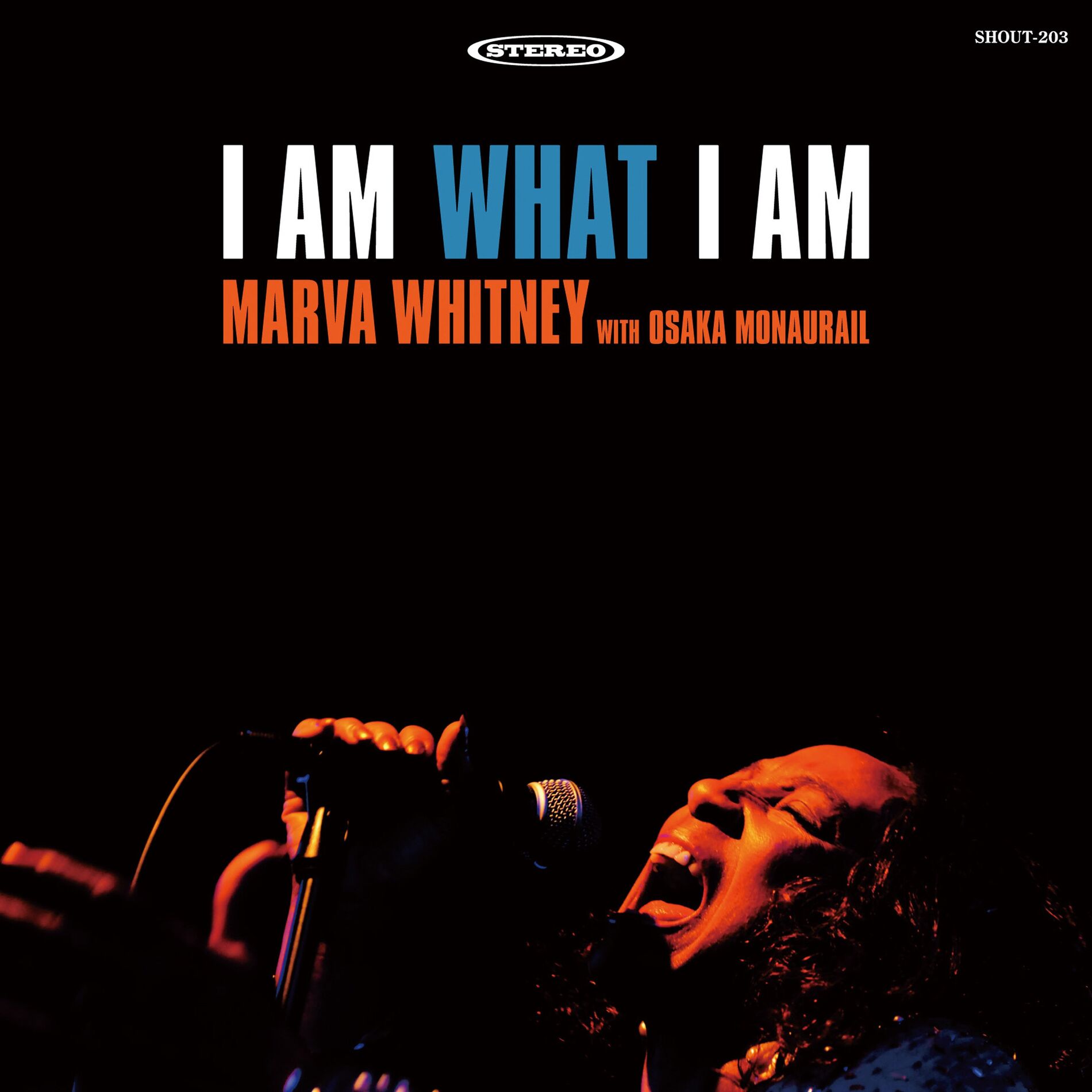 Album cover of We Sing Soul