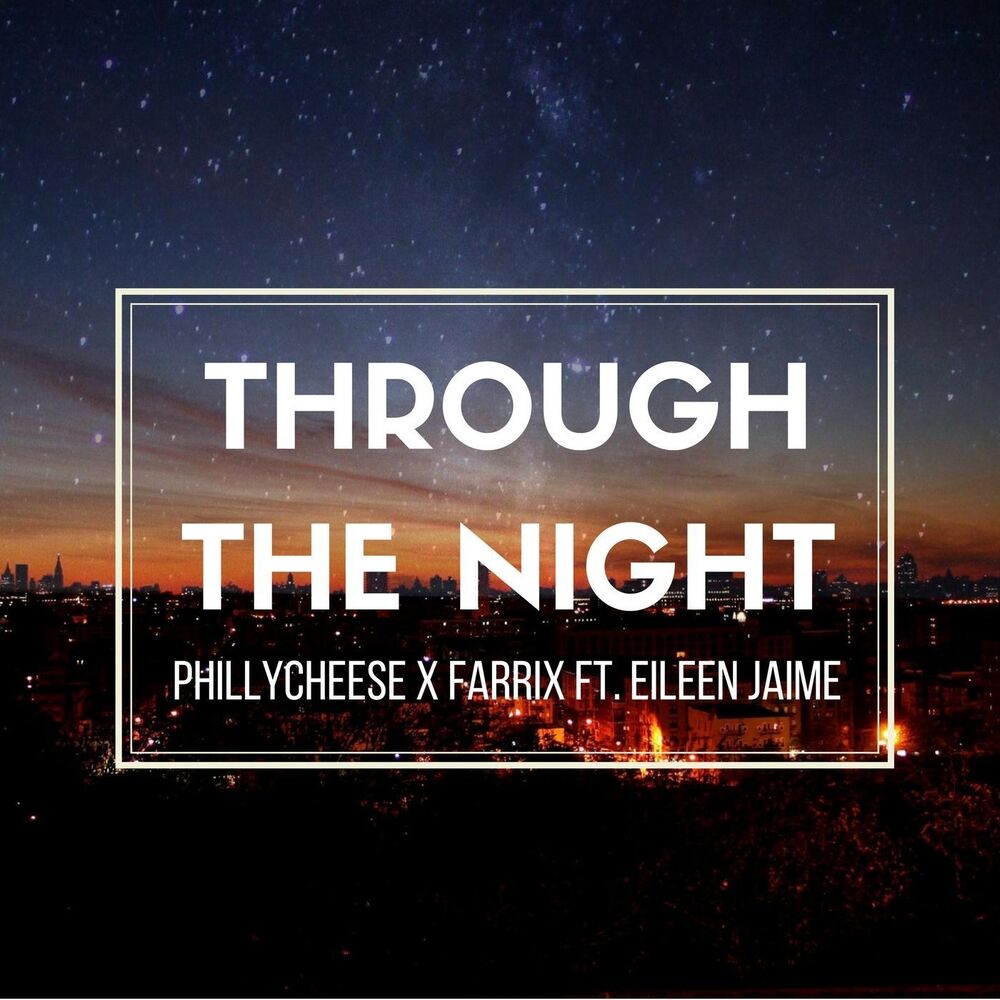 Picture of Through the Night