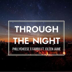Cover of Through the Night