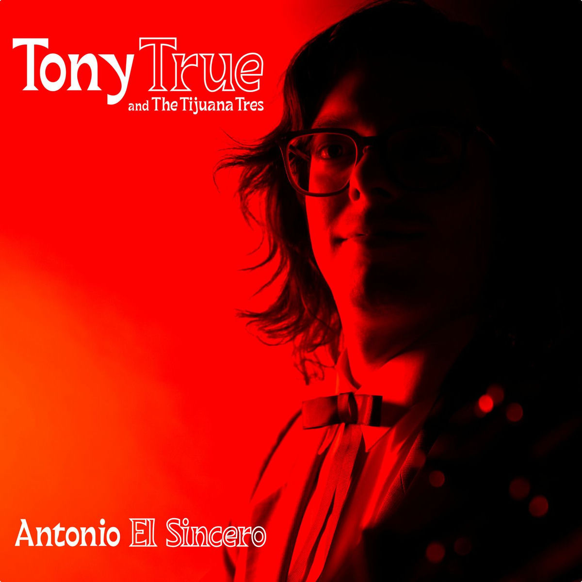 Album cover of Sincero