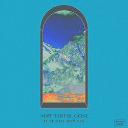 Cover of Now You're Gone